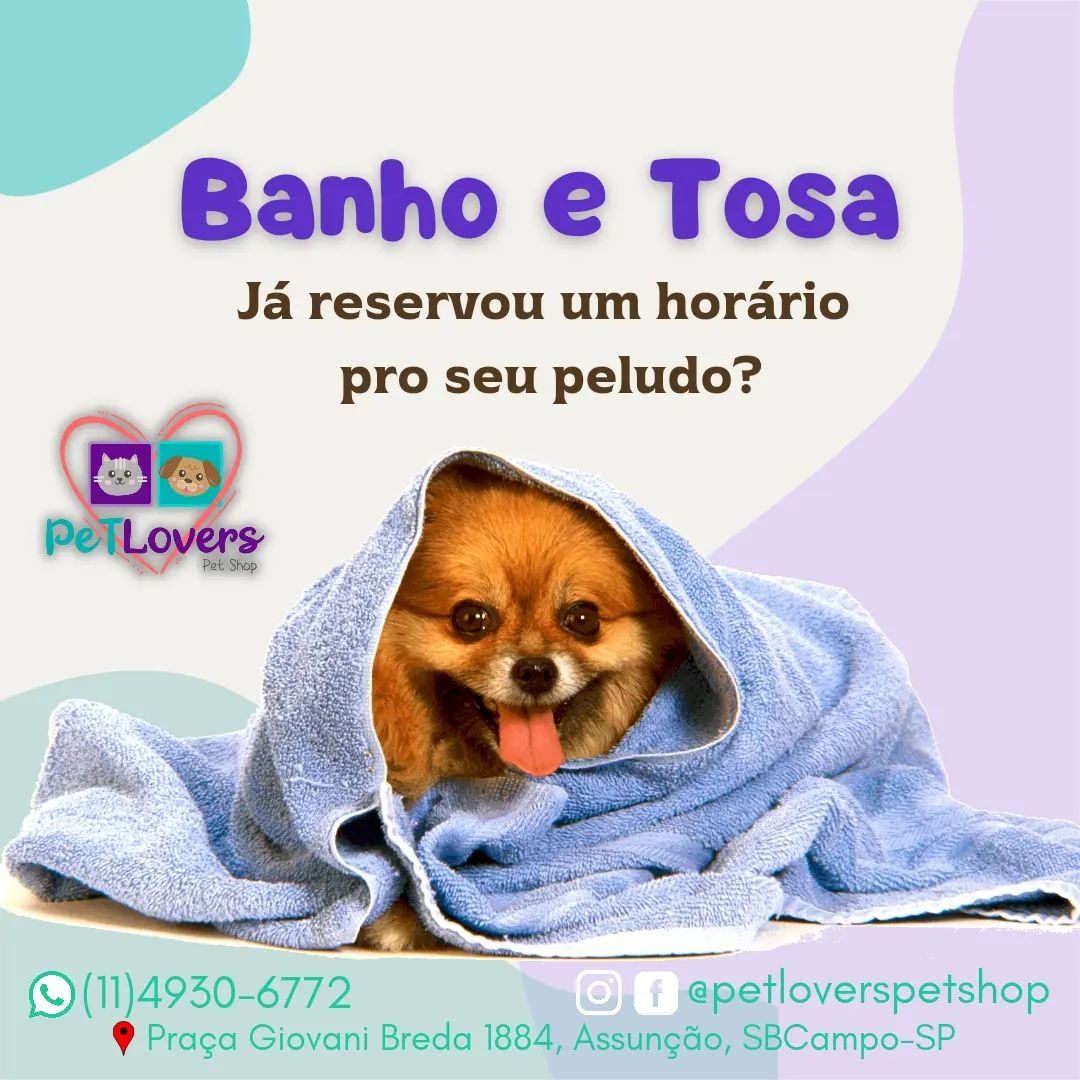 BANHO E TOSA EM SÃO BERNARDO DO CAMPO - SP