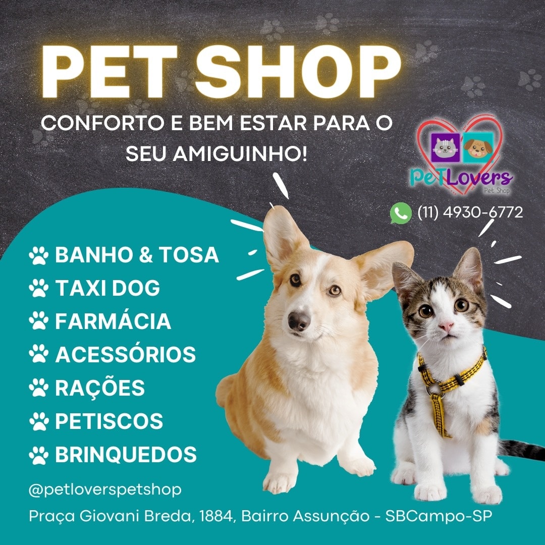 BANHO E TOSA EM SÃO BERNARDO DO CAMPO - SP