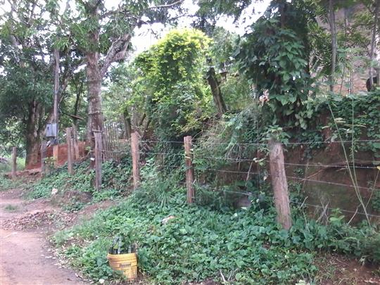 VENDA DE TERRENO E CHÁCARA EM TRÊS RIOS