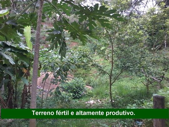 VENDA DE TERRENO E CHÁCARA EM TRÊS RIOS