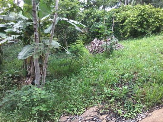 VENDA DE TERRENO E CHÁCARA EM TRÊS RIOS