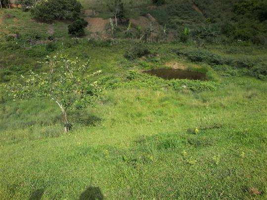 VENDA DE TERRENO E CHÁCARA EM TRÊS RIOS