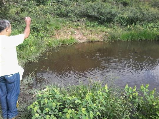 VENDA DE TERRENO E CHÁCARA EM TRÊS RIOS