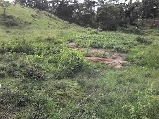 VENDA DE TERRENO E CHÁCARA EM TRÊS RIOS