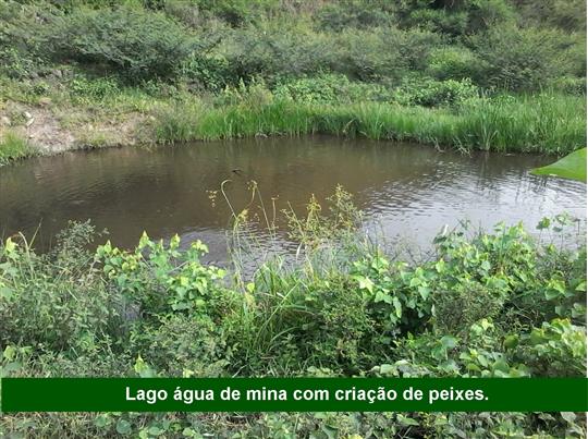 VENDA DE TERRENO E CHÁCARA EM TRÊS RIOS