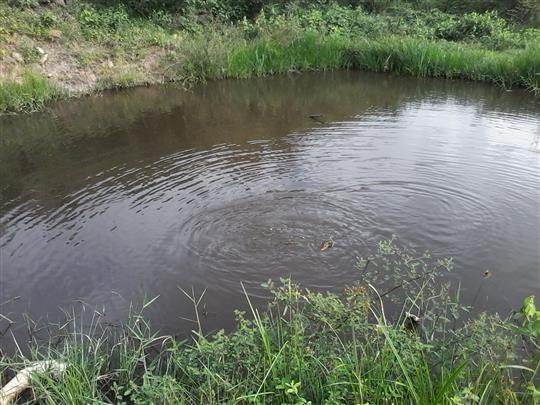 VENDA DE TERRENO E CHÁCARA EM TRÊS RIOS