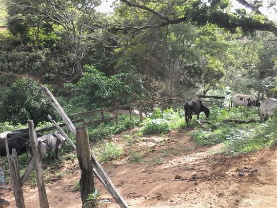 VENDA DE TERRENO E CHÁCARA EM TRÊS RIOS