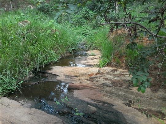 VENDA DE TERRENO E CHÁCARA EM TRÊS RIOS