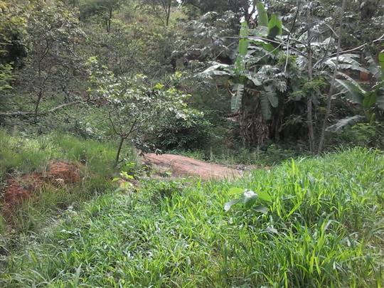 VENDA DE TERRENO E CHÁCARA EM TRÊS RIOS