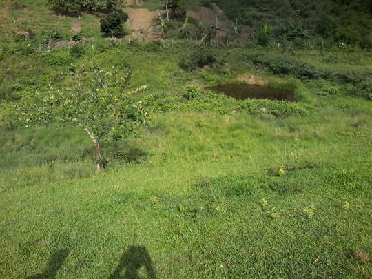 VENDA DE TERRENO E CHÁCARA EM TRÊS RIOS