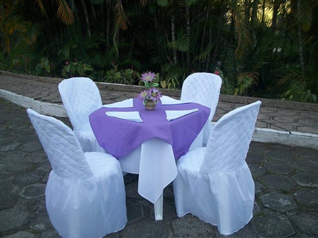 ALUGUEIS DE CAMA ELASTICA E PISCINA DE BOLINHA EM PETROPOLIS