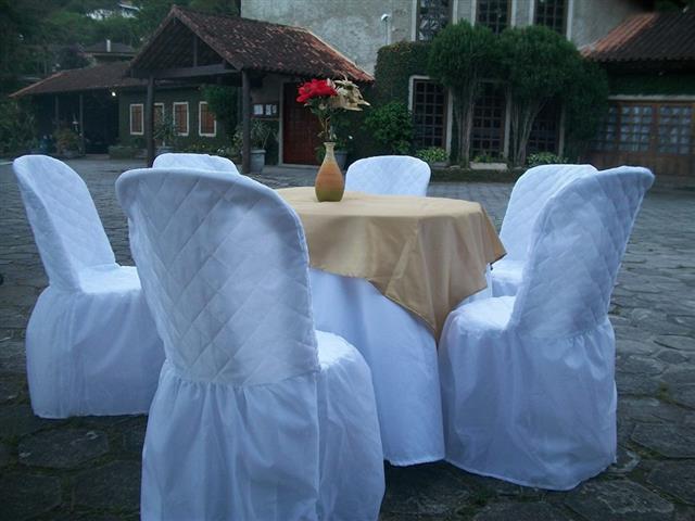 ALUGUEIS DE CAMA ELASTICA E PISCINA DE BOLINHA EM PETROPOLIS