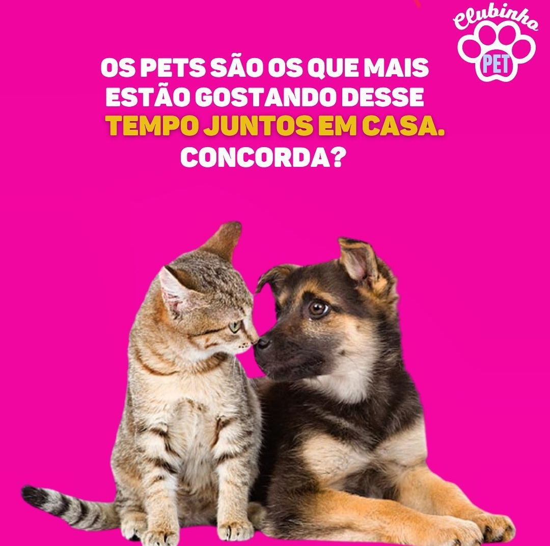 Pet Shop no Jardim das flores. CLUBINHO PET