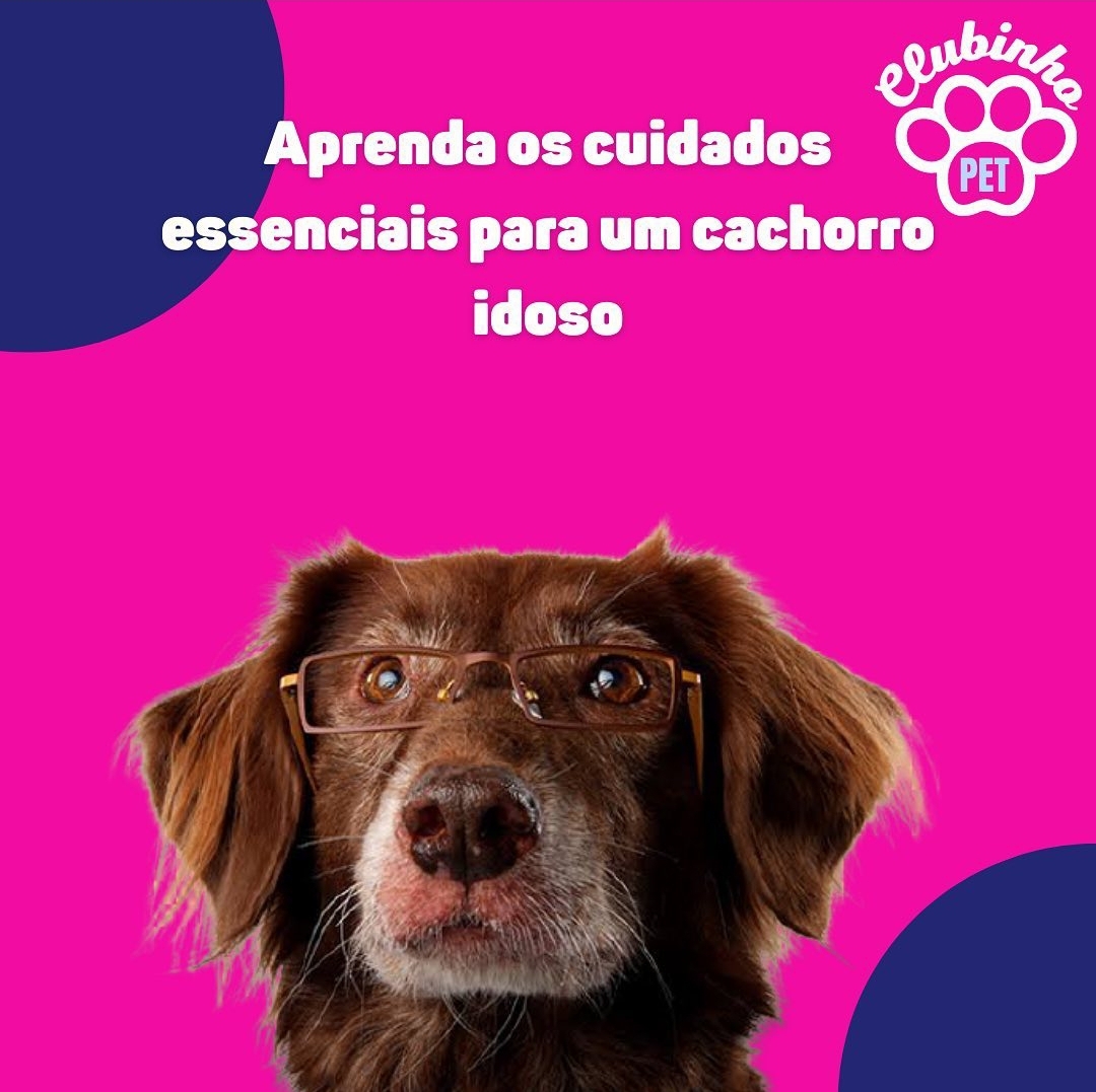 Pet Shop no Jardim das flores. CLUBINHO PET