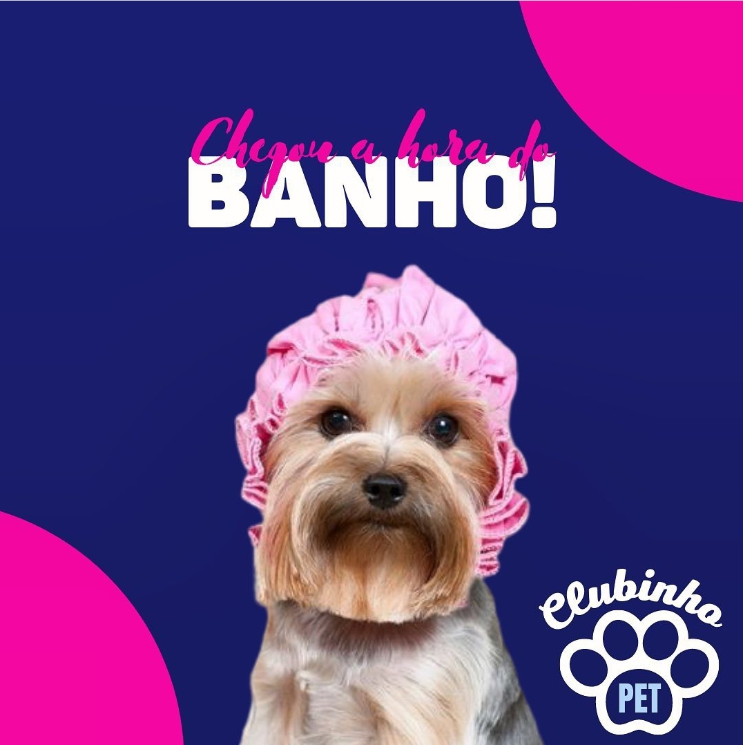 Pet Shop no Jardim das flores. CLUBINHO PET