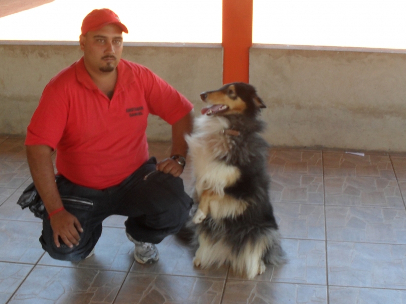 ADESTRAMENTO DE CÃO NO MORUMBI EM SÃO PAULO