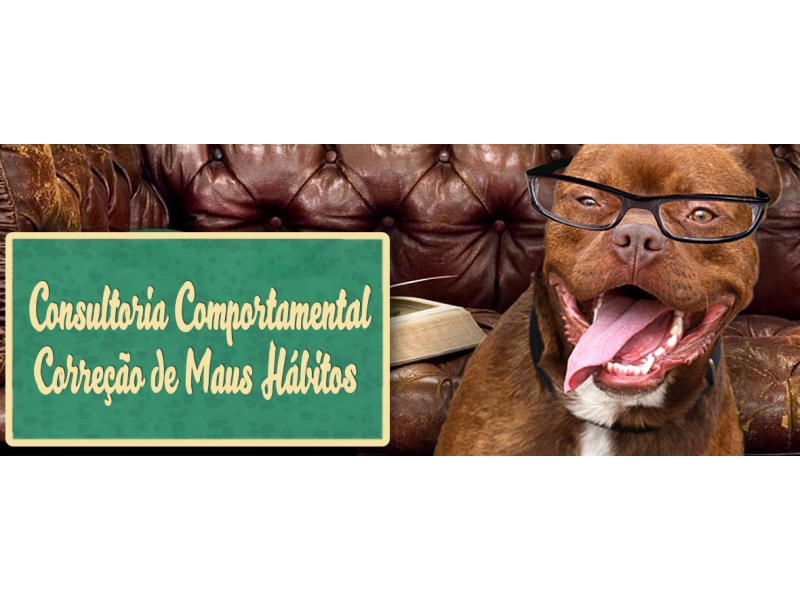 ADESTRAMENTO DE CÃO NO MORUMBI EM SÃO PAULO