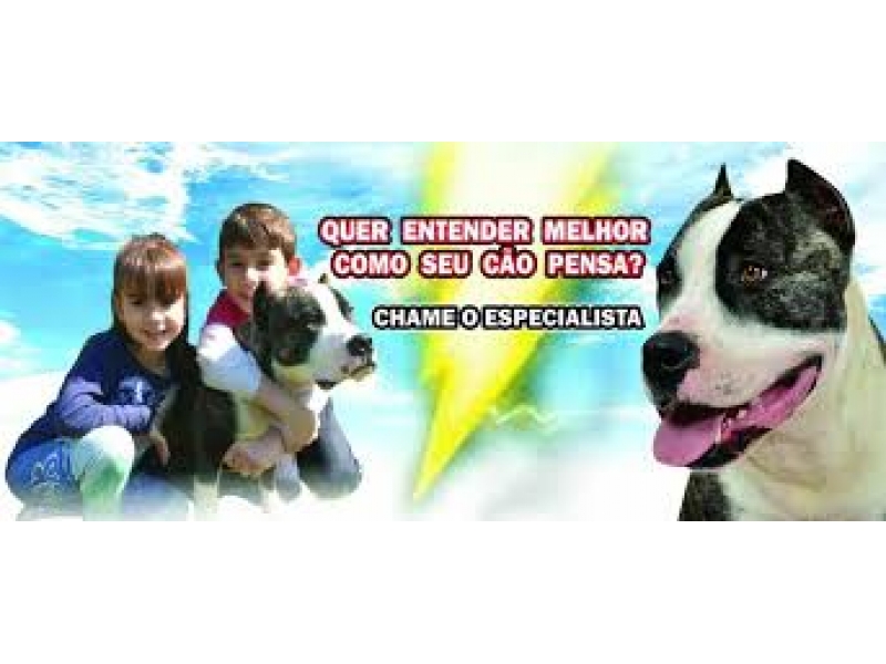 ADESTRAMENTO DE CÃO NO MORUMBI EM SÃO PAULO