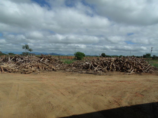 CERAMICA FENIX EM CAMPOS DOS GOYTACAZES - CERAMICA FENIX