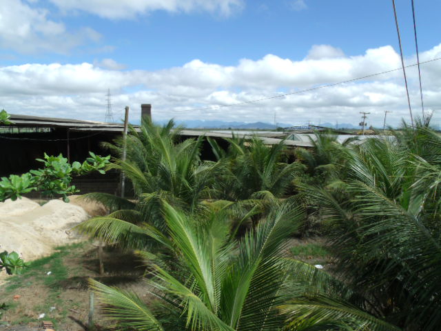 CERAMICA FENIX EM CAMPOS DOS GOYTACAZES - CERAMICA FENIX