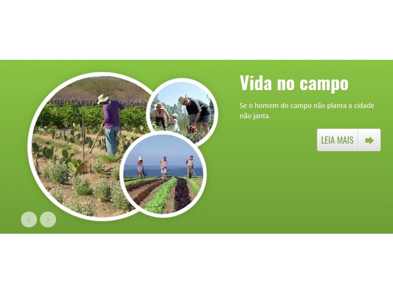 PRODUTOS AGRÍCOLAS EM JUAZEIRO - BA