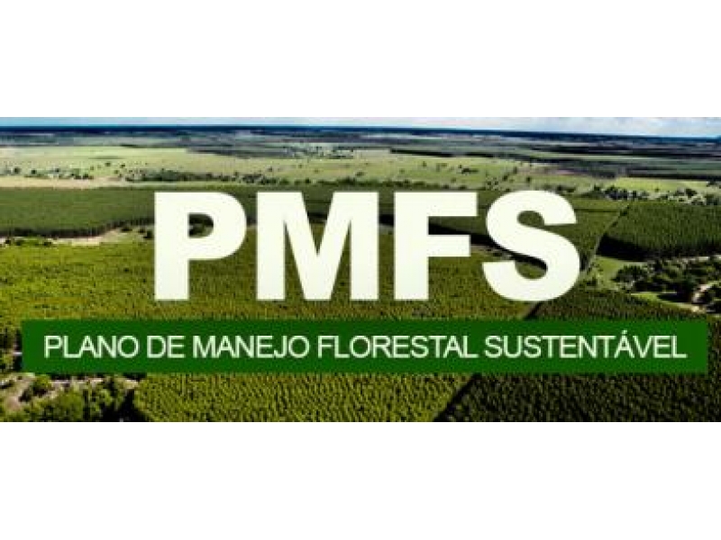 Projetos agropecuários Agronegócio em Porto Velho - AGRO SUSTENTÁVEL