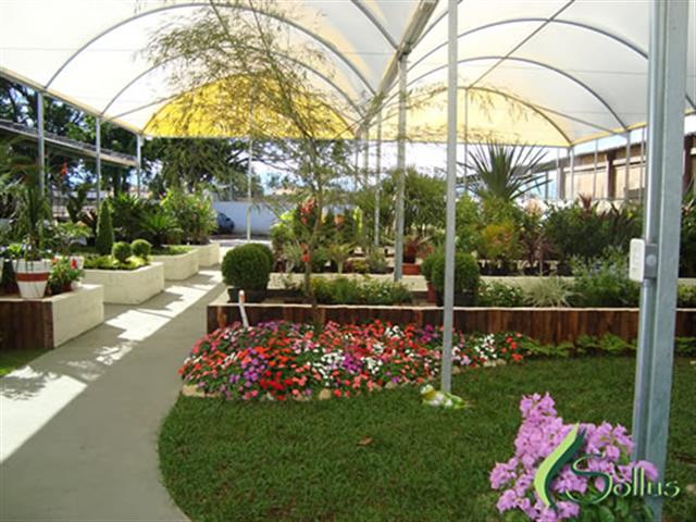 PAISAGISMO NO INDEPENDÊNCIA TAUBATÉ - SOLLUS PAISAGISMO