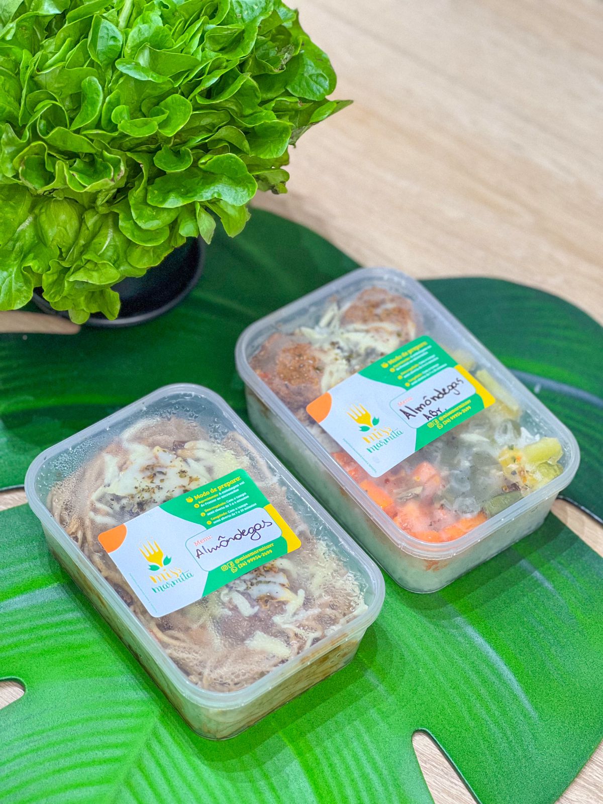 DELIVERY DE MARMITAS CONGELADAS FITNESS EM VOLTA REDONDA RJ