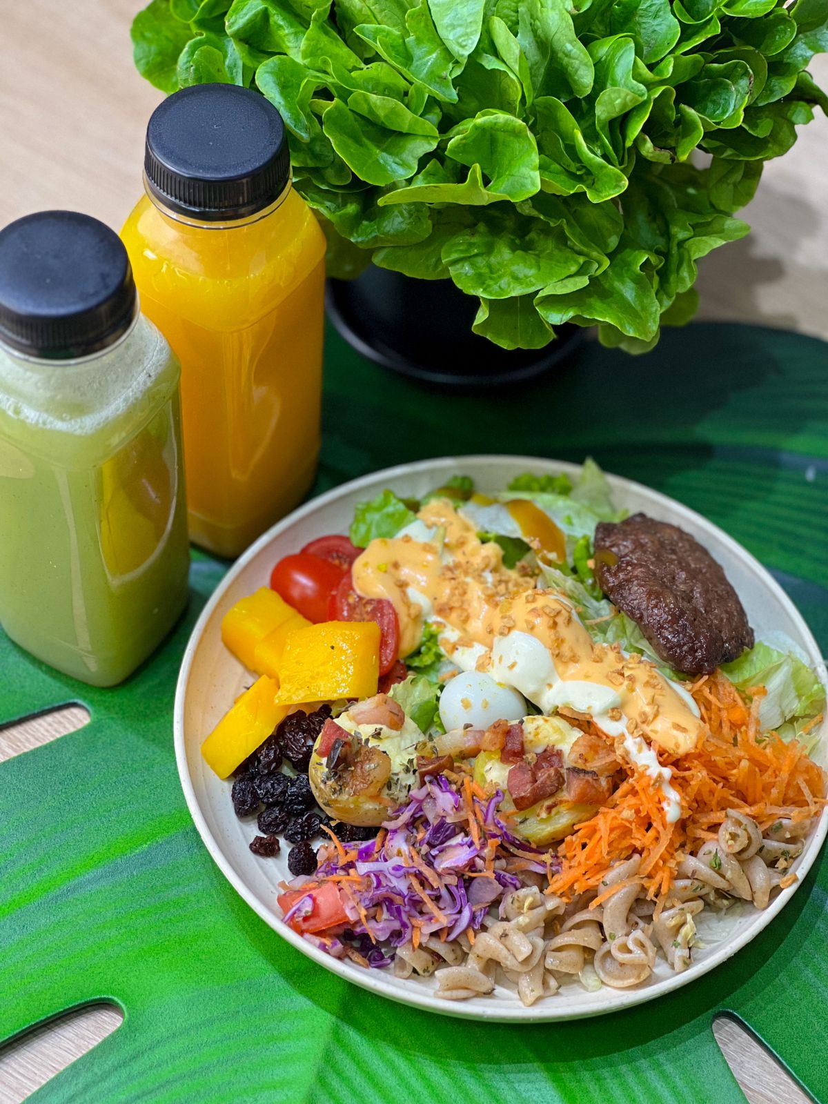 DELIVERY DE MARMITAS CONGELADAS FITNESS EM VOLTA REDONDA RJ