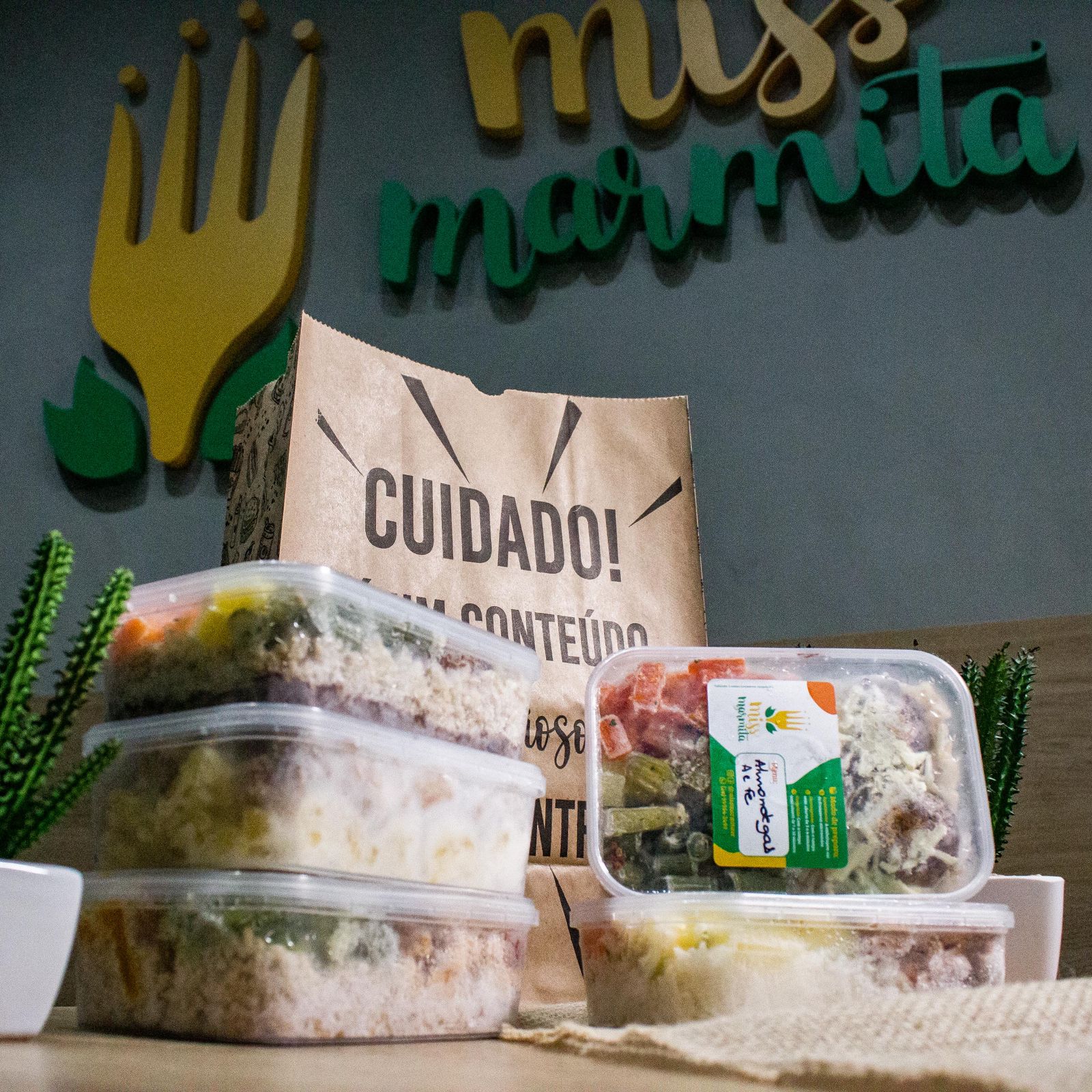 DELIVERY DE MARMITAS CONGELADAS FITNESS EM VOLTA REDONDA RJ