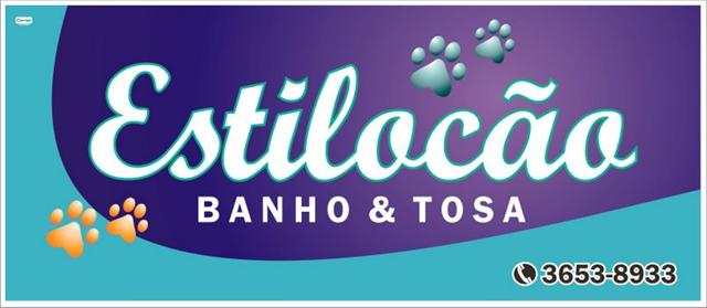 BANHO E TOSA EM XEREM DUQUE DE CAXIAS - ESTILOCAO - RJ