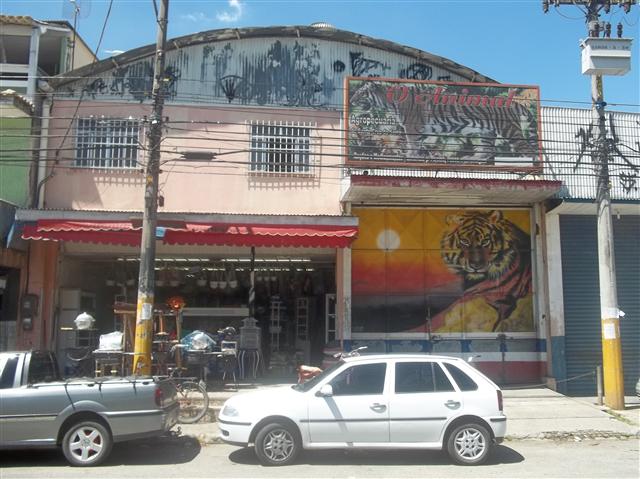 O Animal de Santa Cruz