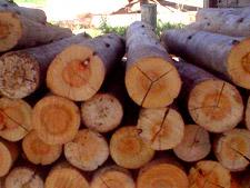 MATERIAL DE CONSTRUCAO EM CAMPOS DOS GOYTACAZES - AZEREDO MATERIAL DE CONSTRUÇÃO