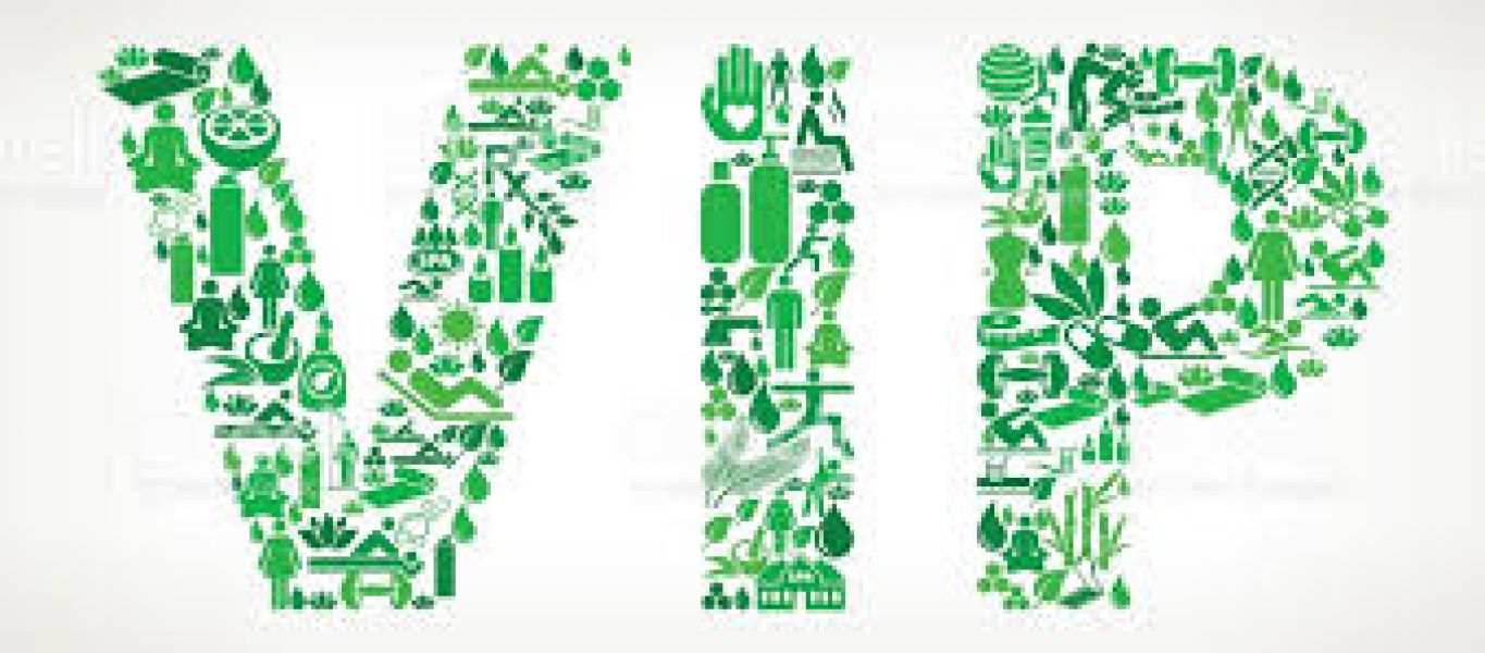 VIP MED PRODUTOS HOSPITALARES