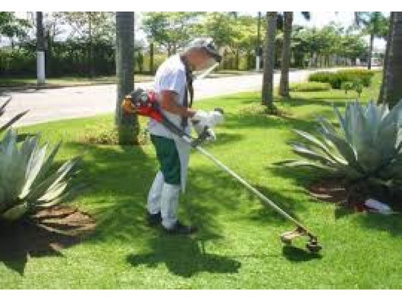 JARDINAGEM EM GERAL NA VILA SÔNIA EM SÃO PAULO