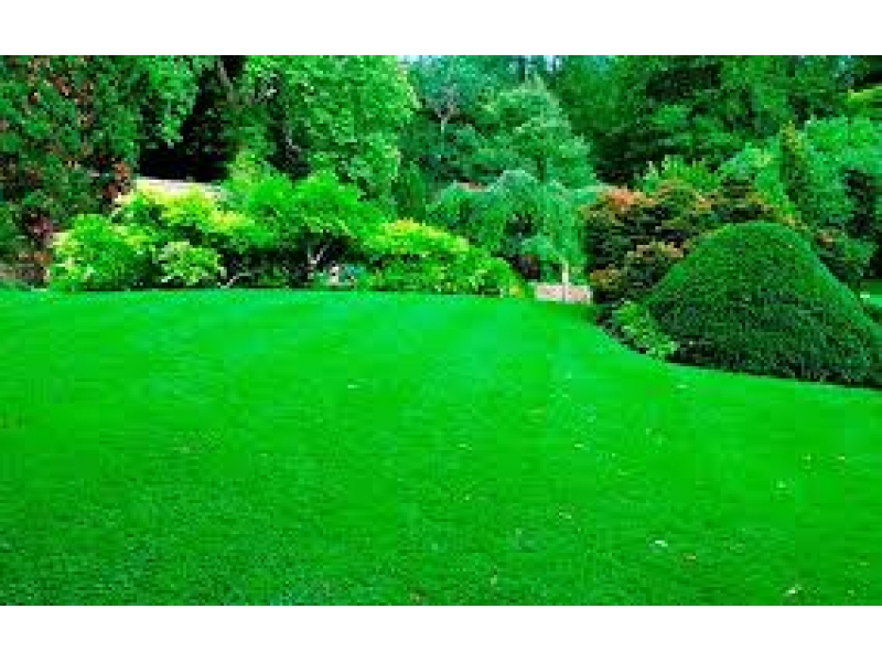 JARDINAGEM EM GERAL NA VILA SÔNIA EM SÃO PAULO