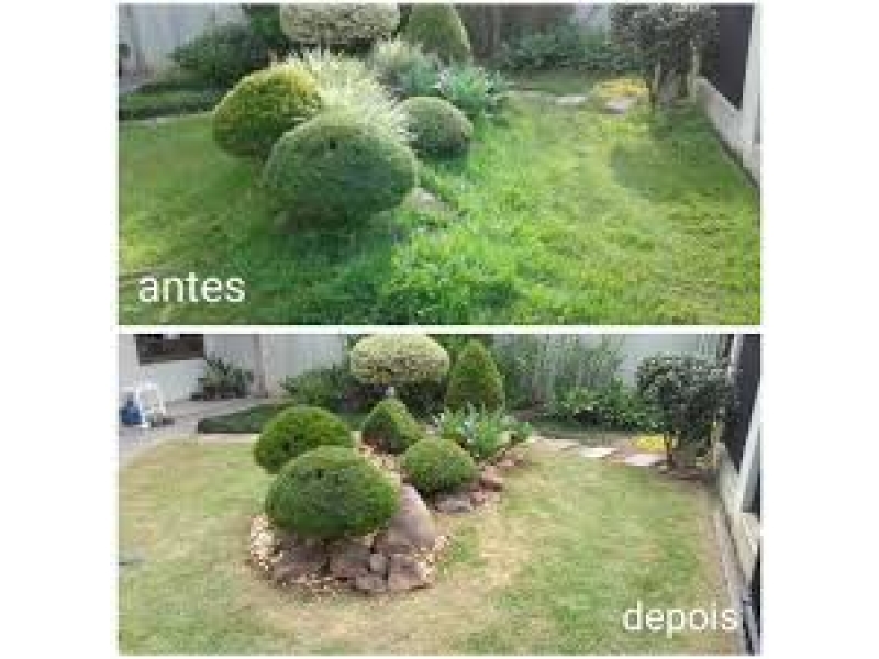 JARDINAGEM EM GERAL NA VILA SÔNIA EM SÃO PAULO