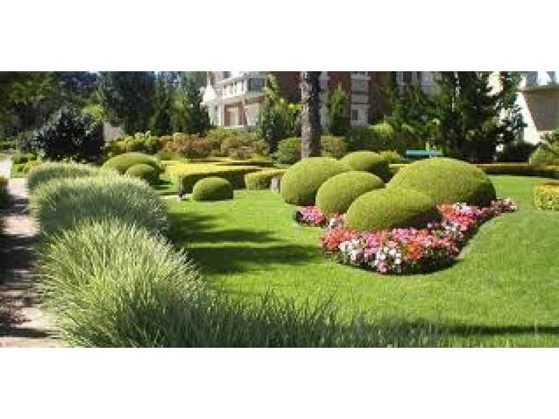 JARDINAGEM EM GERAL NA VILA SÔNIA EM SÃO PAULO