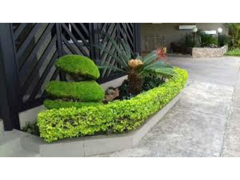 JARDINAGEM EM GERAL NA VILA SÔNIA EM SÃO PAULO