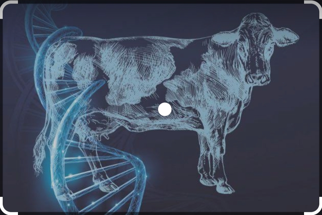 Venda de sêmen e embriões de bovinos em Porto Velho - PROGENIE Genética e Embriões 