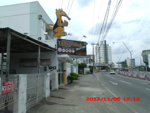 DEDETIZADORA EM CAMPOS DOS GOYTACAZES