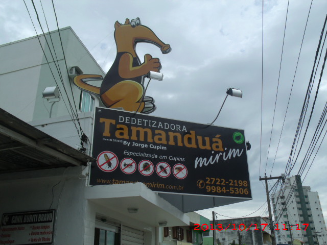 DEDETIZADORA EM CAMPOS DOS GOYTACAZES