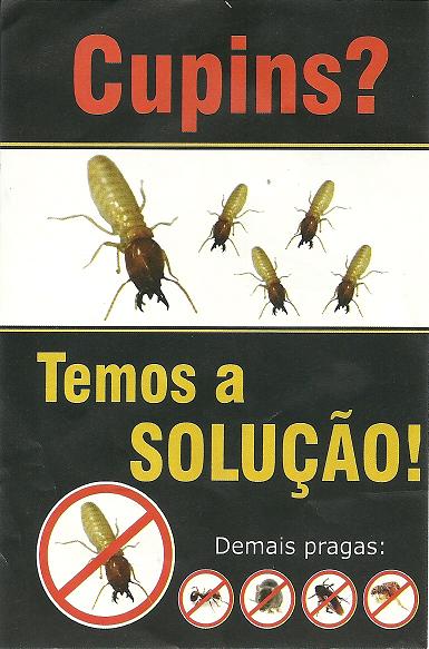 DEDETIZADORA EM CAMPOS DOS GOYTACAZES
