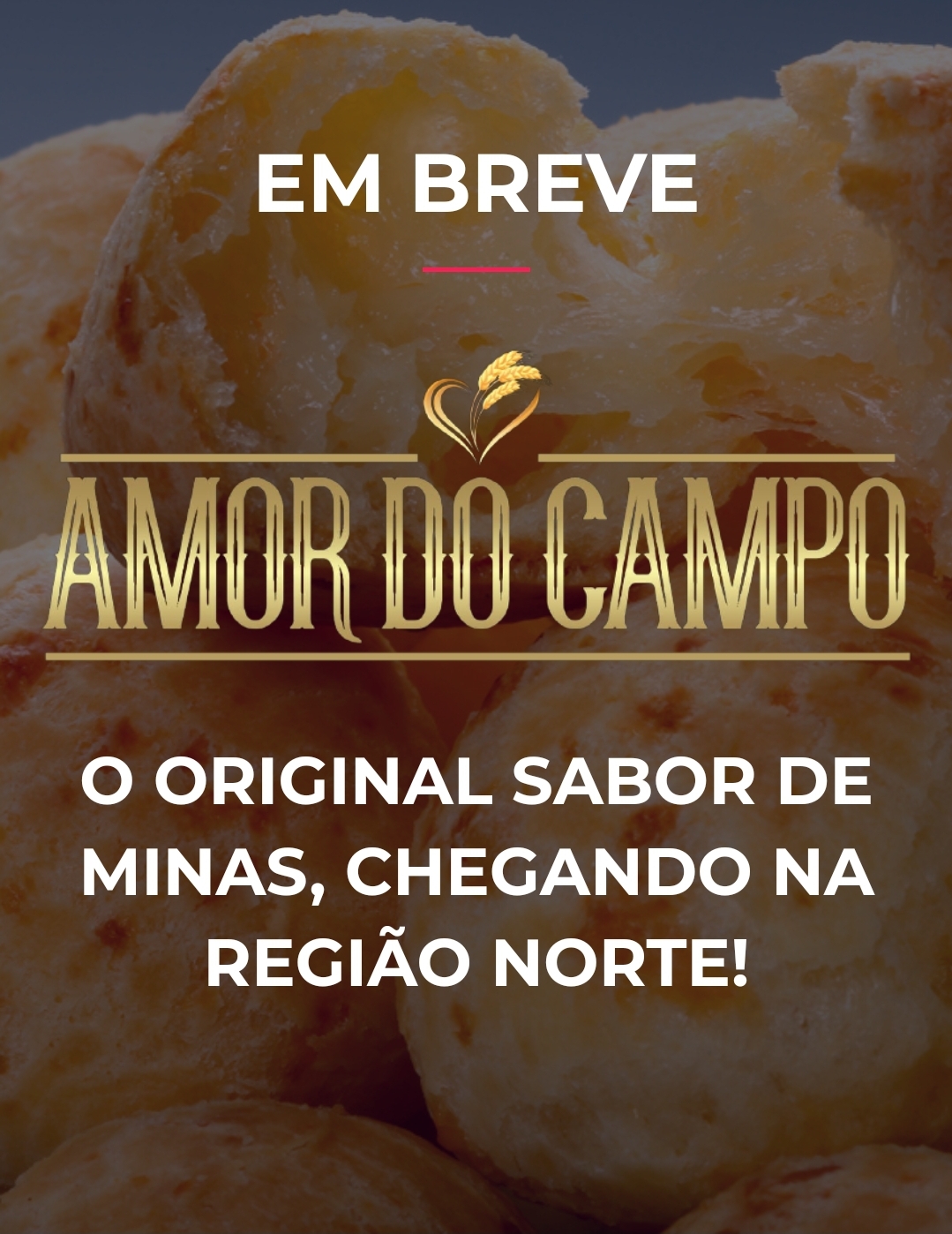 Pão de Queijo Congelados em PortoVelho - AMOR do CAMPO 