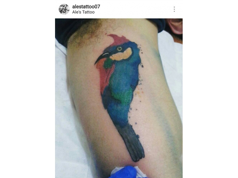 TATTOO EM  VILA SÔNIA - SP 