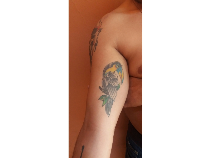 TATUADOR NA REGIÃO DE TABOÃO DA SERRA - SP 