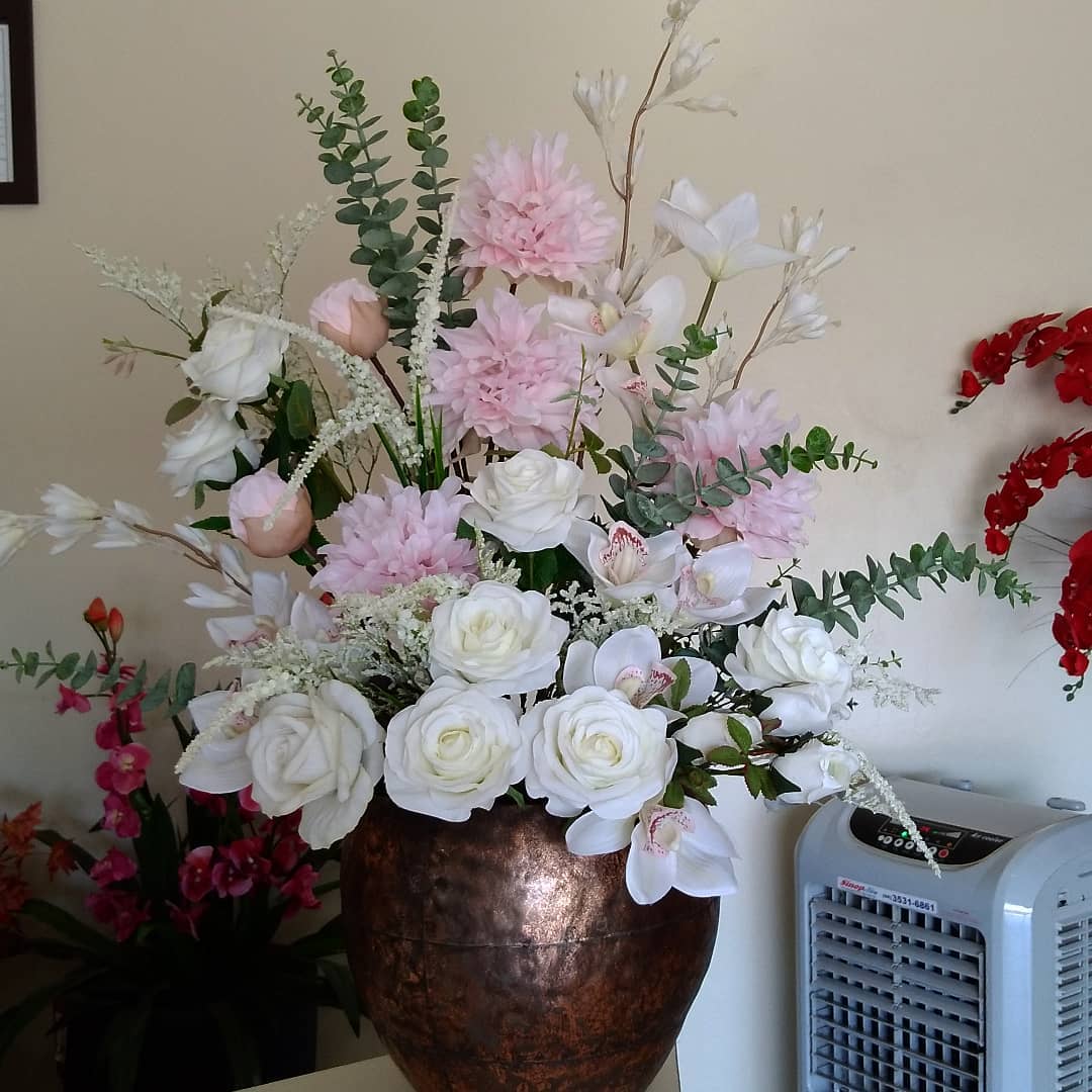 VENDAS DE GRAMA EM SORRISO - MT 