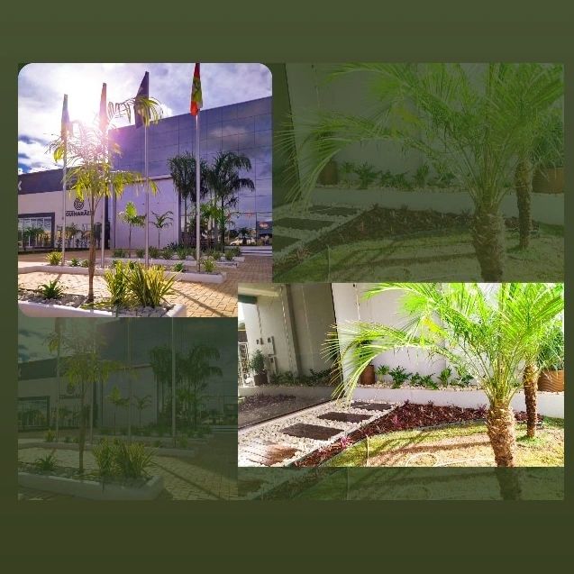 VENDAS DE GRAMA EM SORRISO - MT 