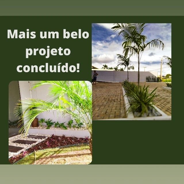 VENDAS DE GRAMA EM SORRISO - MT 