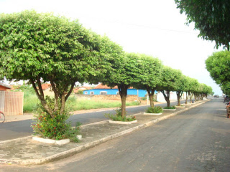 CORTE E PODA DE ÁRVORES NO RECREIO DOS BANDEIRANTES - RJ